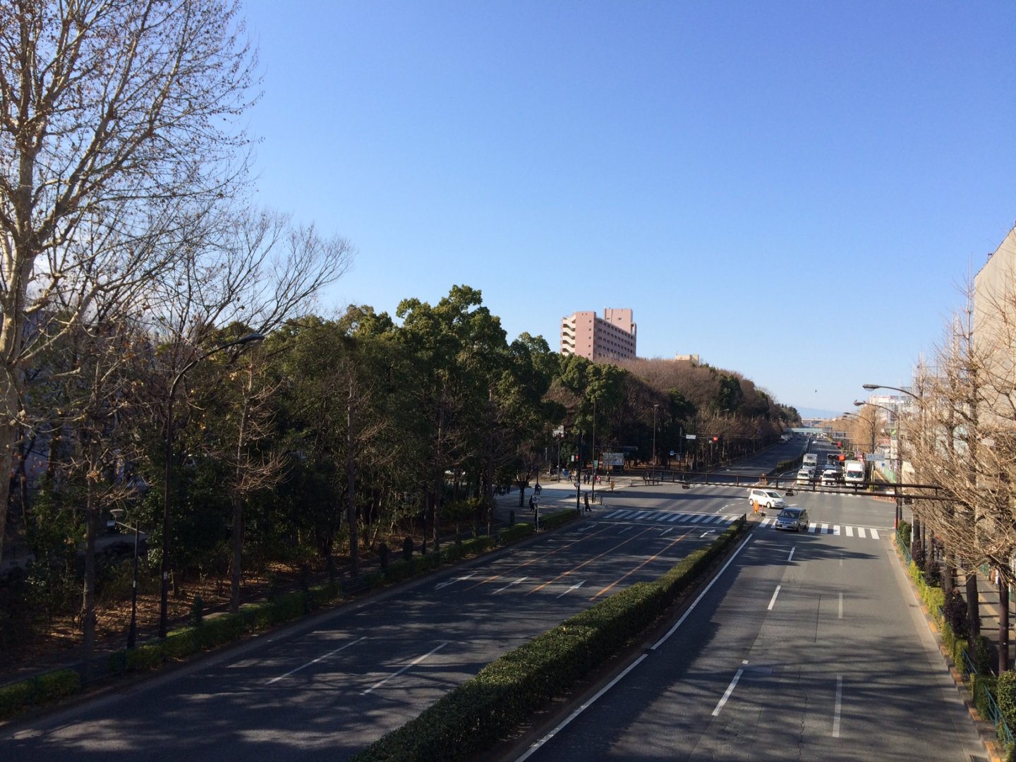高島平駅西口を出ると、すぐ目の前に高島平緑地が見えます。