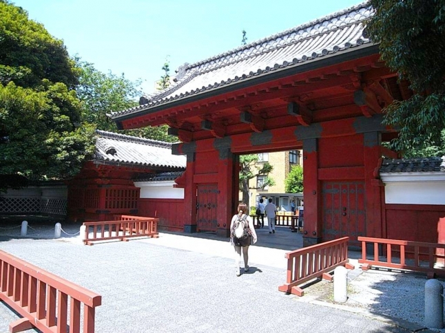 文京区は江戸時代の武家屋敷を教育機関に転用した歴史から、学校が多い文教地区に。