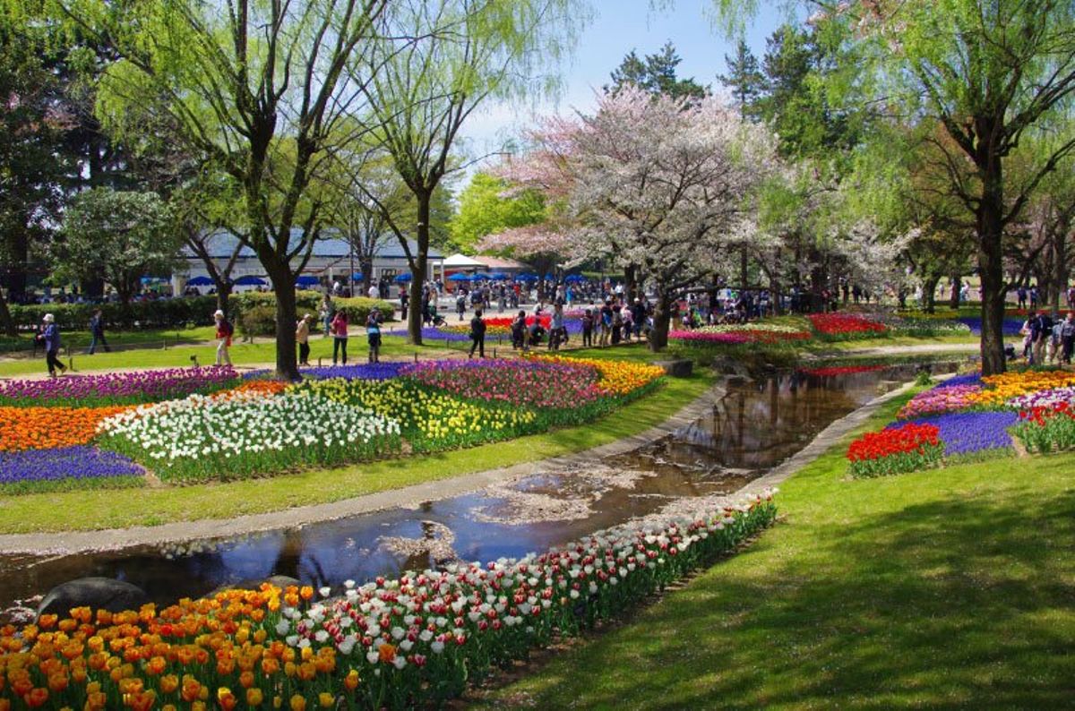 昭和天皇の在位50年を記念した昭和記念公園。花火大会・イルミネーションも有