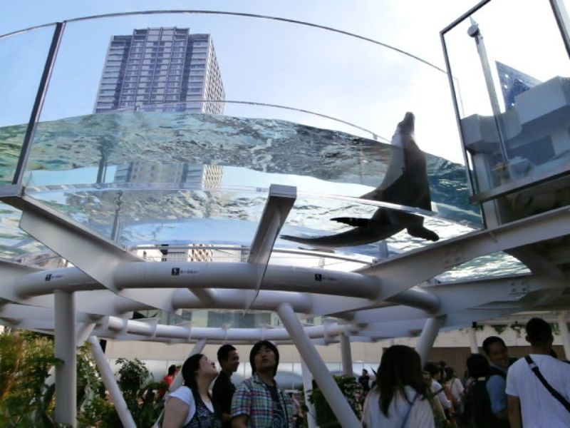 日本発！屋上にあるサンシャイン水族館  2011年にリニューアルオープンし、終日人で賑わっている