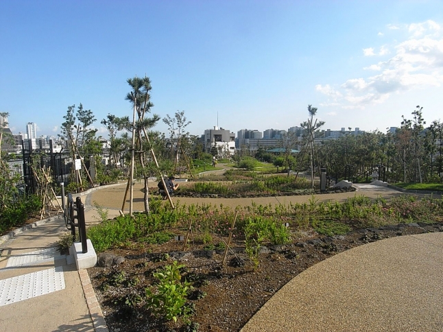 2013年にオープンした「目黒天空庭園」。学生・社会人問わず、憩いの場となっています。
