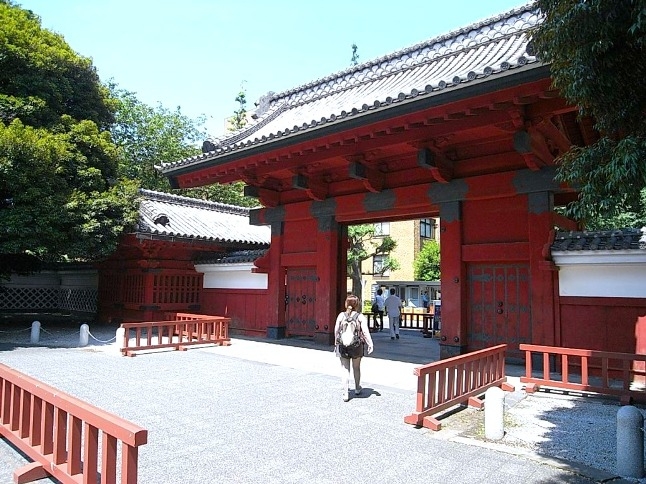 マンション前の道をまっすぐ行くと、東京大学の赤門に到着。
