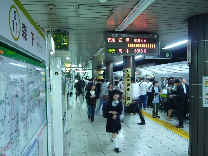 大江戸線と新宿線が利用可能！東京大学（駒場、本郷）明治大学（和泉、御茶ノ水）へも通学便利！